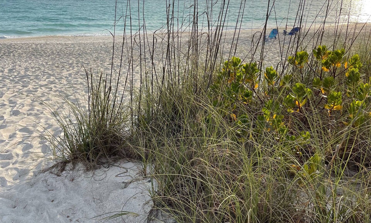 Whitney Beach House | Beach Cottage with a Private Hot Tub