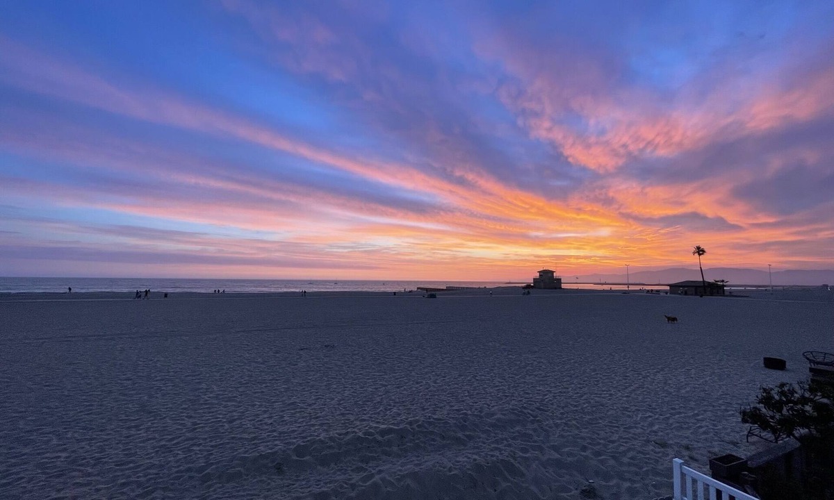 The Jungle Condo | Beachfront Haven! On the sand, just minutes from LAX.