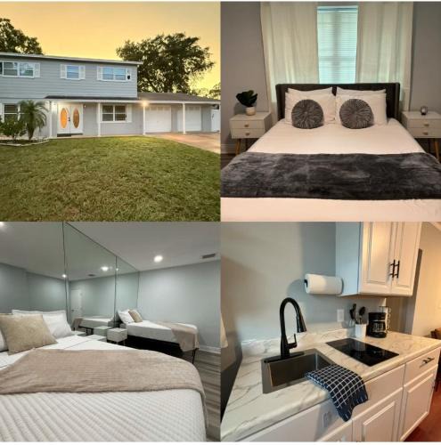 Carrollwood Apartment | Bright 2BR- Near Busch Gardens & Tampa Fun