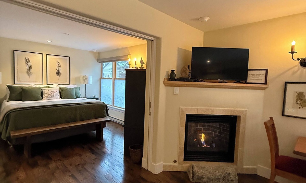 Telluride Condo | Extra Large Cozy 1 BR, chairlift just outside, ski in, fireplace, hardwood floor