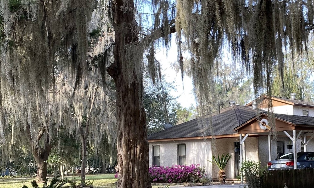 St. Marys House | Seagrove House in Historic District- Dog Friendly, 2 Blocks from Riverfront Park