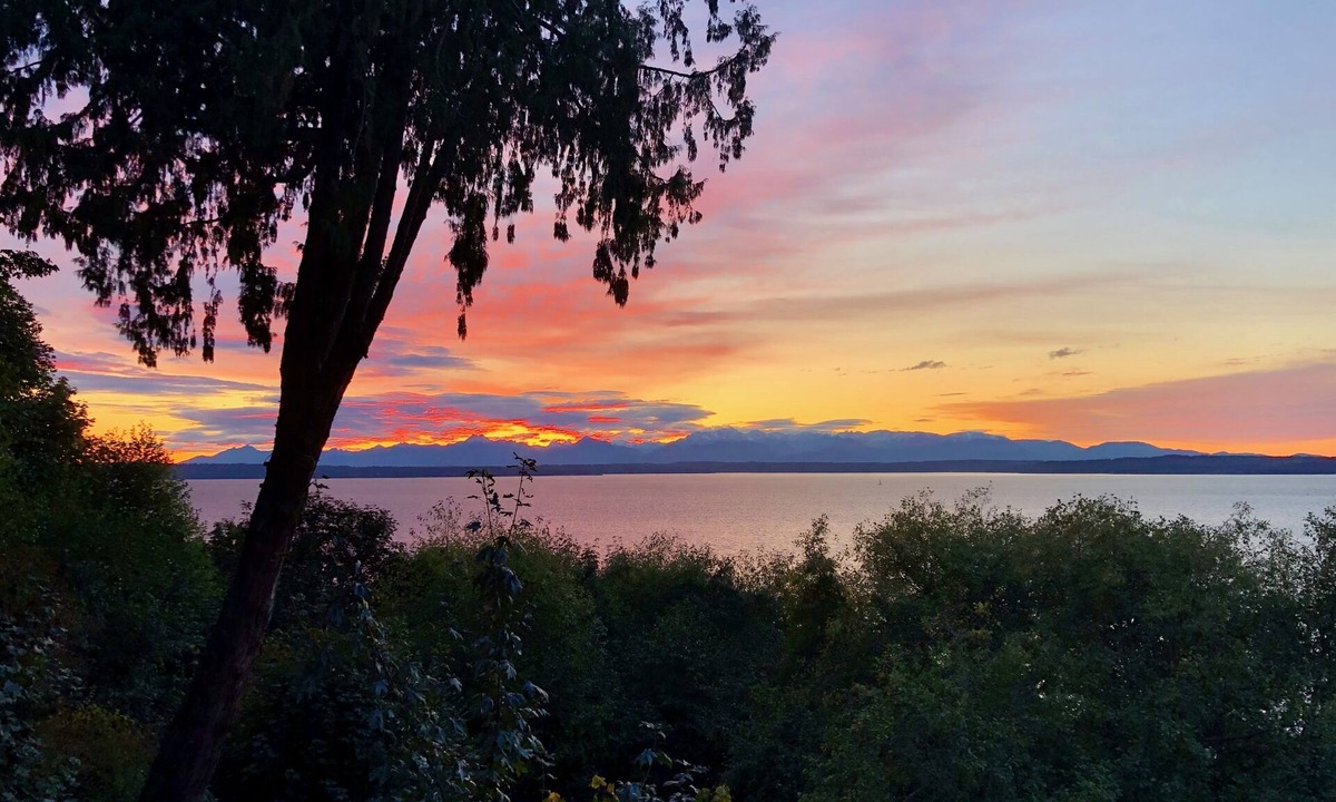 North Beach/Blue Ridge Apartment | Spacious Romantic Salish Sea View Suite on Luxury Seattle Estate