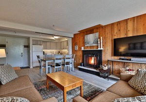 Beautiful Renovated 1BR/1BA Condo Next to Mountain 3C13