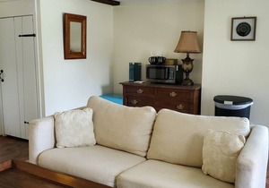 Deluxe King Suite, Living Room w/sofa bed & fireplace