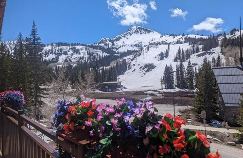 Salt Lake Mountain Resorts Ski Chalet | 2BR I Big Cottonwood I Brighton Ski Resort