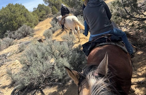 Aztec House | 3-Bedroom Desert Hacienda - Horses and Dogs Welcome