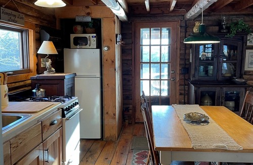 Great Valley Cabin | Charming Log Cabin on Private Pond Nestled in Woods Near Holiday Valley Resort