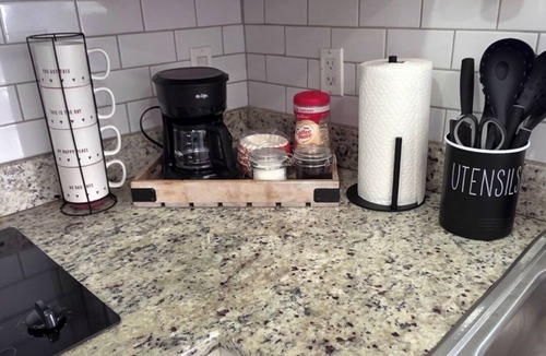 Carrollwood Apartment | Cozy Guesthouse near Raymond James Stadium & Tampa Airport