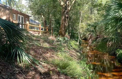 Clearwater Cabin | Creekfront Tiny Home Clearwater/Safety Harbor