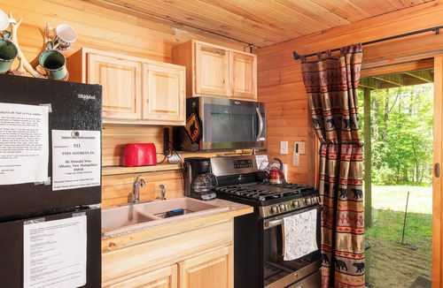 Albany Cabin | Dog Friendly, Quiet Neighborhood, Cozy lower level cabin