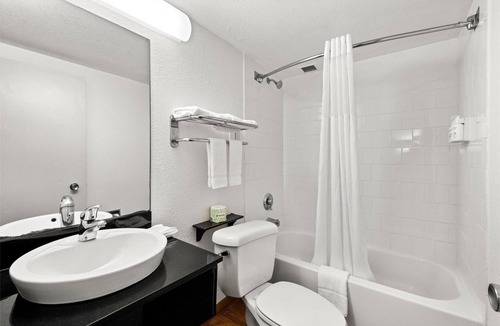 Ludlam Hotel | Enjoy Peace & Privacy in a Vibrant Room | 6 Mi from University of Miami