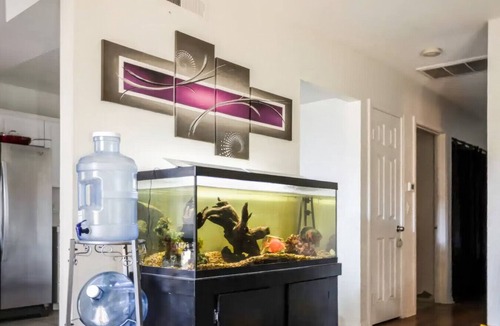 Central Escondido Apartment | Escondido Urban Stay - Stylish 2BR Apartment