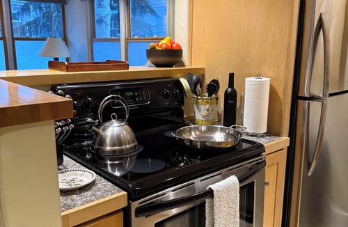 Telluride Condo | Extra Large Cozy 1 BR, chairlift just outside, ski in, fireplace, hardwood floor
