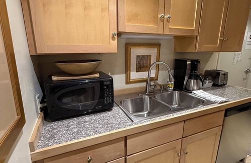 Telluride Condo | Extra Large Cozy 1 BR, chairlift just outside, ski in, fireplace, hardwood floor