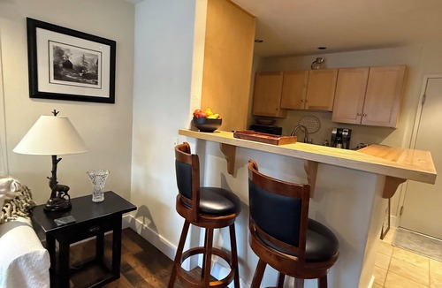 Telluride Condo | Extra Large Cozy 1 BR, chairlift just outside, ski in, fireplace, hardwood floor