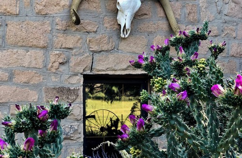 Towaoc Cottage | Historical 3-bedroom @ Canyon of the Ancients Guest Ranch in Mesa Verde Country