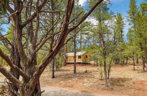 Grand Canyon House | Juniper Glamping Tent