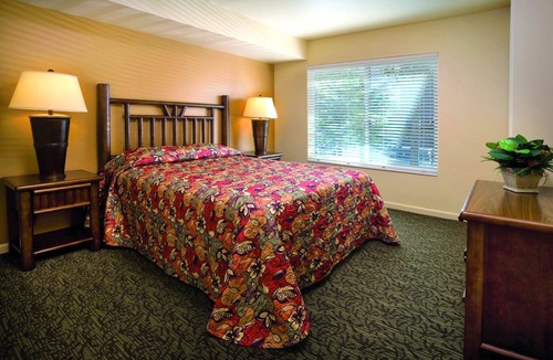 Wolf Creek Resort | Leave your worries at the door!