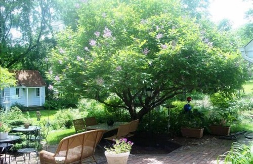 Minnetonka House | Minnetonka Privacy On Cul-de-Sac 6 mi. to Mpls-Gorgeous Acre near I-494 & I-394