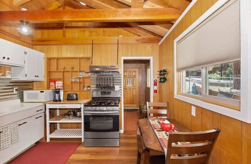 Big Bear Cabin | Moose's Cabin near Big Bear Village and Slopes!