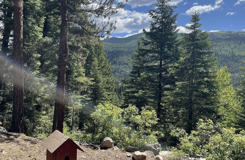 Bayfield Cabin | Slice of heaven! Log home w/huge deck & outstanding views on 7 acres w/creek