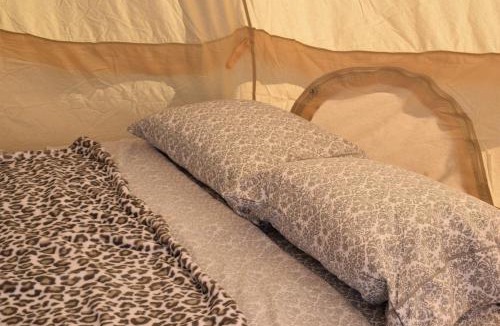 Sun Valley Other | Starlight Tent 2