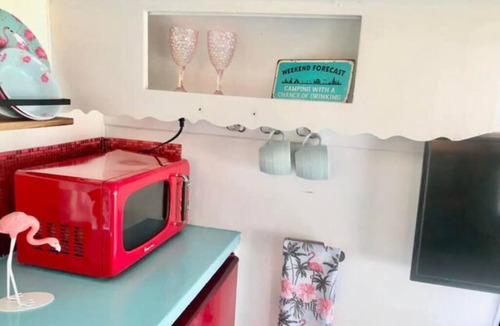 Weeki Wachee Gardens Apartment | The Funky Flamingo - Neptune's Grotto Old Florida Adventure Retreats