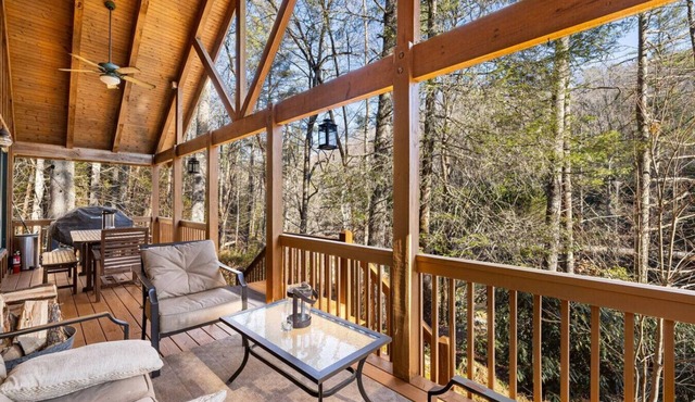 66 Acre Nature Retreat with TWO Charming Cabins