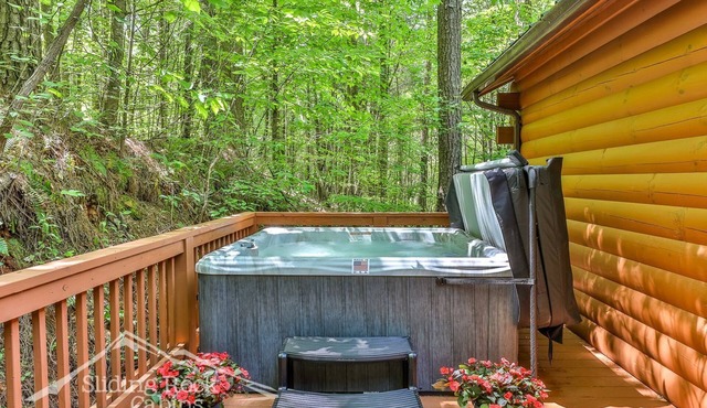 Autumn's Hollow | Pets Stay FREE | Sleeps 4 |