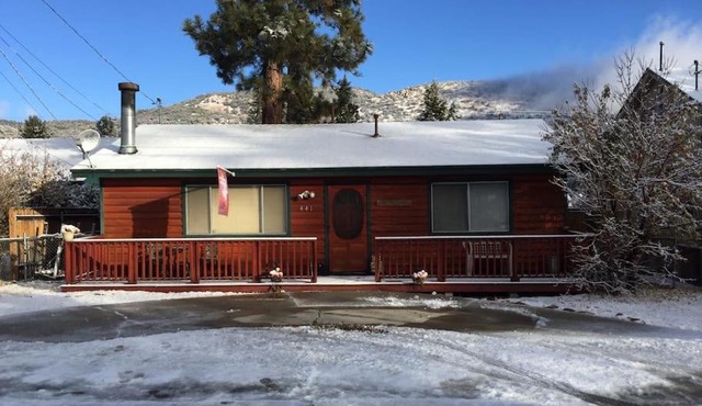 BEAR CABIN GETAWAY!(SPA) Pet Friendly Backyard