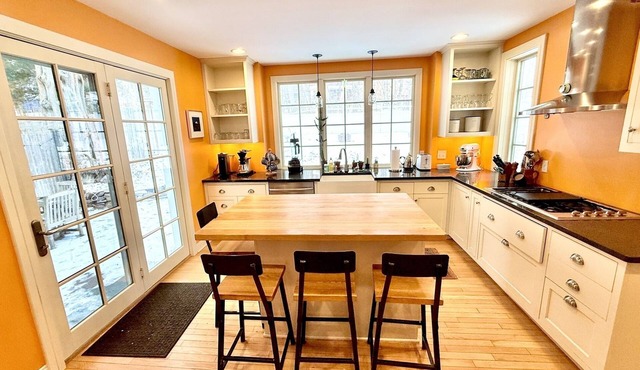 Beautiful home in Burlington's South End, humans and dogs welcome!