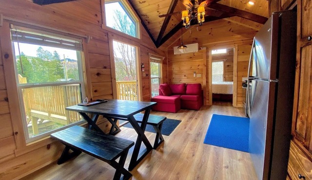 BMV1 Awesome "Tiny Home" A/C, Mountain Views, Minutes to Skiing, Hiking, Attractions, Dog Friendly!