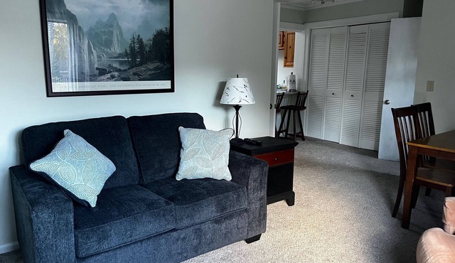 Charming 1-bedroom apartment in wonderful Lenox Dale in Lenox