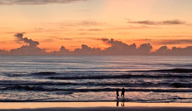 Charming studio on the beach in lowkey Daytona Beach Shores with WiFi and AC.