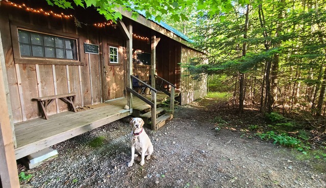 Cottage-Swim-Brook on Property-Views-Firepit-Woodstove-7 min to Stratton-Dogs OK