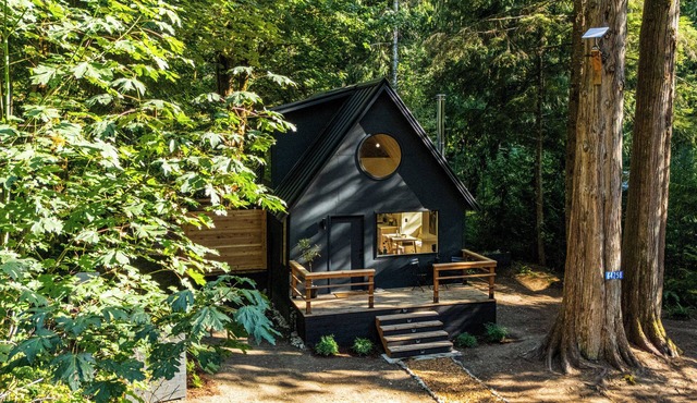 Dwell Magazine Scandi Cabin with Outdoor Forest Tub, min to North Cascades Park