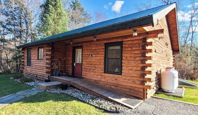 Enchanting dog-friendly cabin with fireplace, hot tub & washer/dryer