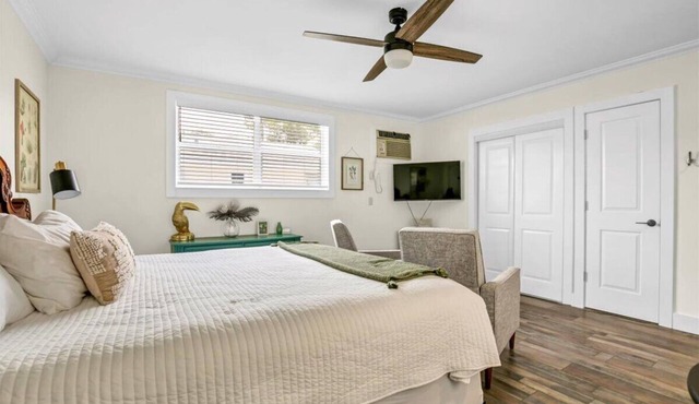 King Studio Retreat: With Free Wifi and Laundry in Safety Harbor