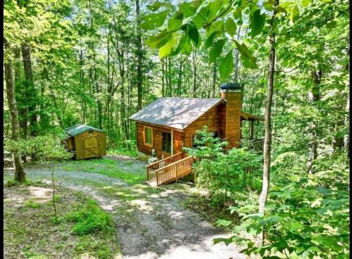 Open Studio Lodge at Little Rock Creek