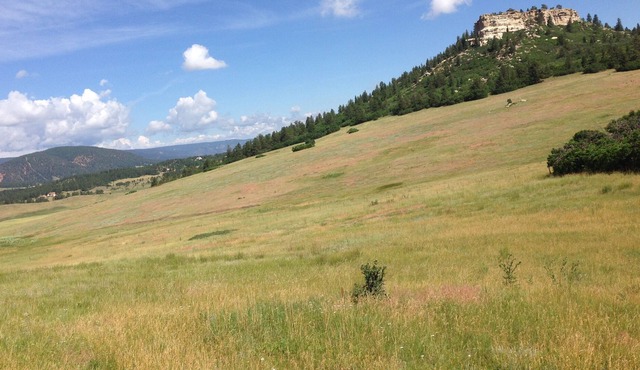 Private, quiet, modern ranch retreat!