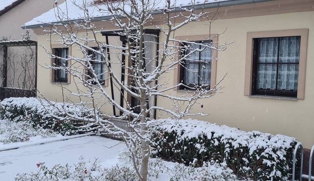 quiet apartment "Am Nationalpark Unteres Odertal" in Schwedt/Oder