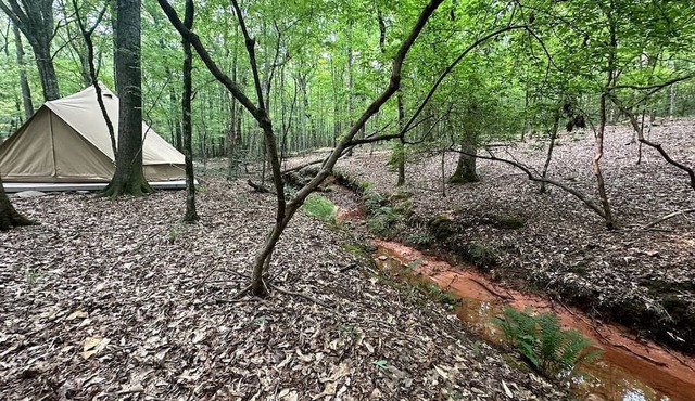 Romantic Bell Tent Retreat in Georgia’s Enchanted Forest near Lake Oconee