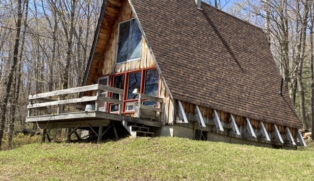 Rustic Cabin Minutes From Okemo - Views of Lake Ninevah, Nestled In Mt. Holly in Mount Holly