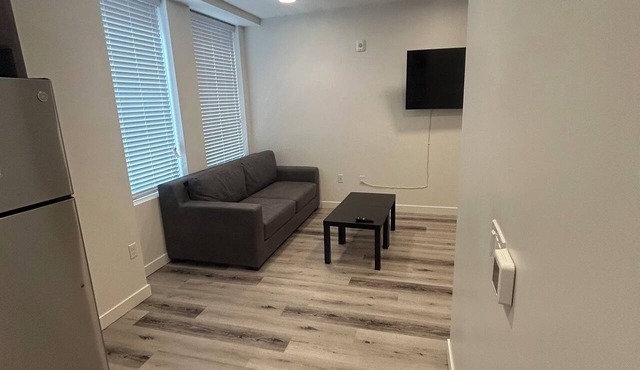 Salt Lake City Luxury Loft 214 Downtown