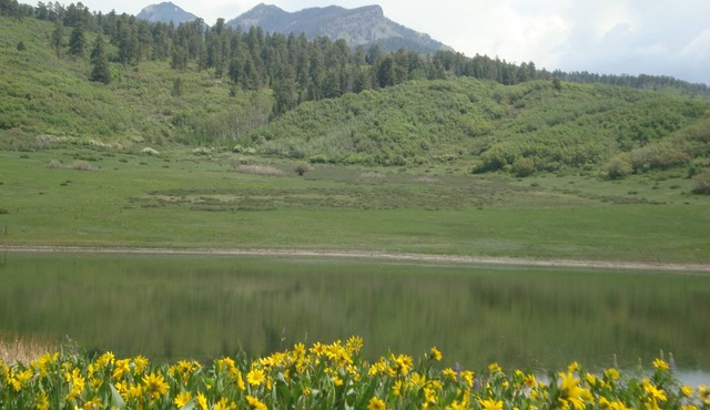 Secluded Mountain Retreat With Pond Bordering National Forest!