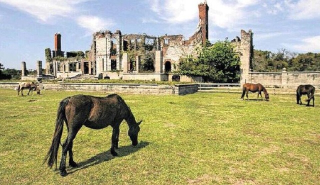 Sleeps 10 Near HWY I-95,40,17 & Kings Bay navybase,Cumberland Island,JAX airport
