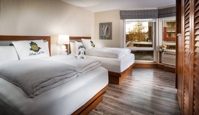 Staypineapple, Watertown Hotel, University District Seattle