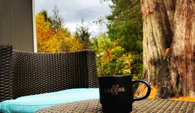 Sun Rose Cabin Welcomes You to Dog-Friendly Luxury
