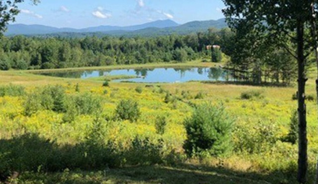 Tentrr Signature Site - Belle Vista Farm - Coleman Outfitted Site