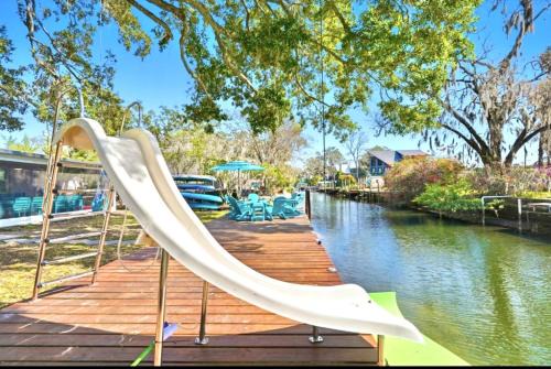 The Fancy Fin- Near Roger's Park, Waterslide, Fenced Yard